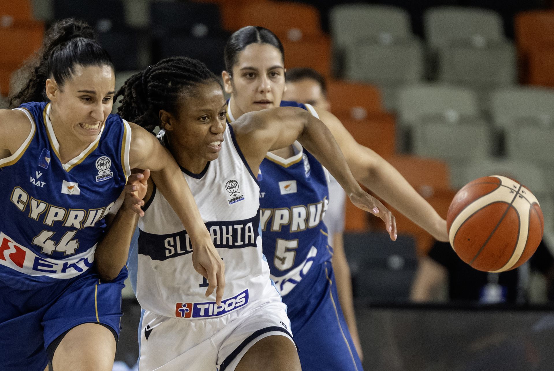 Slovensko - Cyprus (Kvalifikácia ME - basketbal). Zdroj: TASR