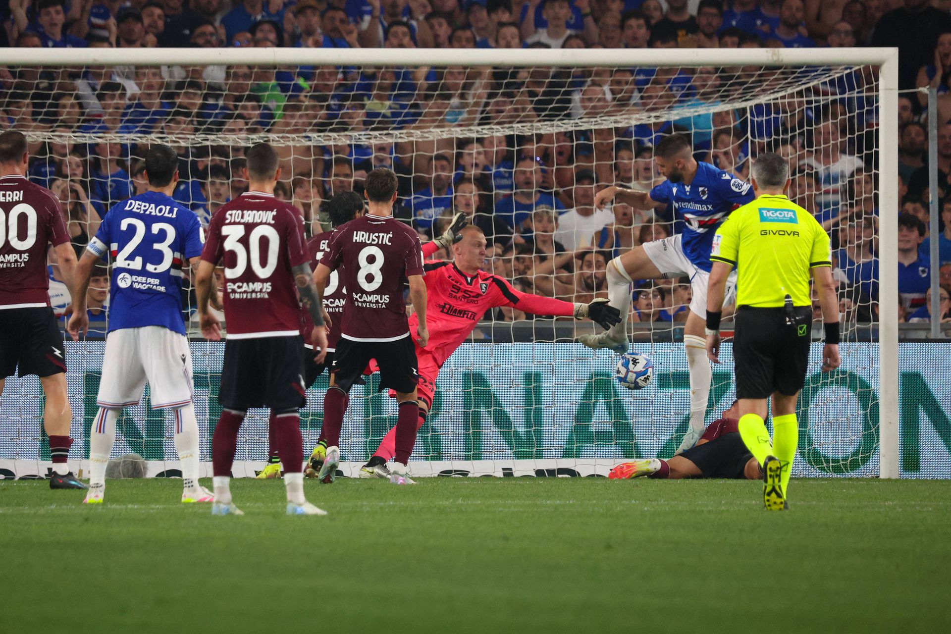 Sampdoria - Salernitana. Zdroj: IMAGO