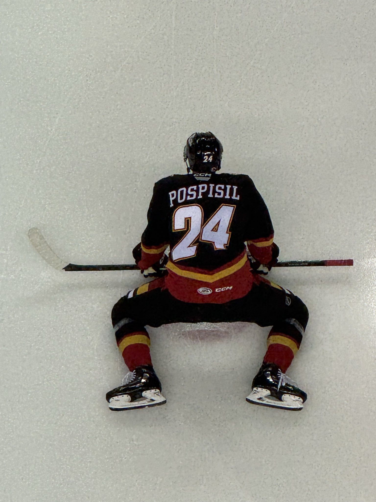 Martin Pospíšil. Zdroj: X / Logan Gordon