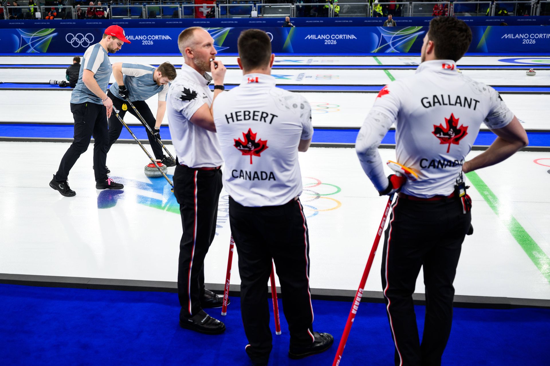 Kanadskí Curleri, zdroj: IMAGO