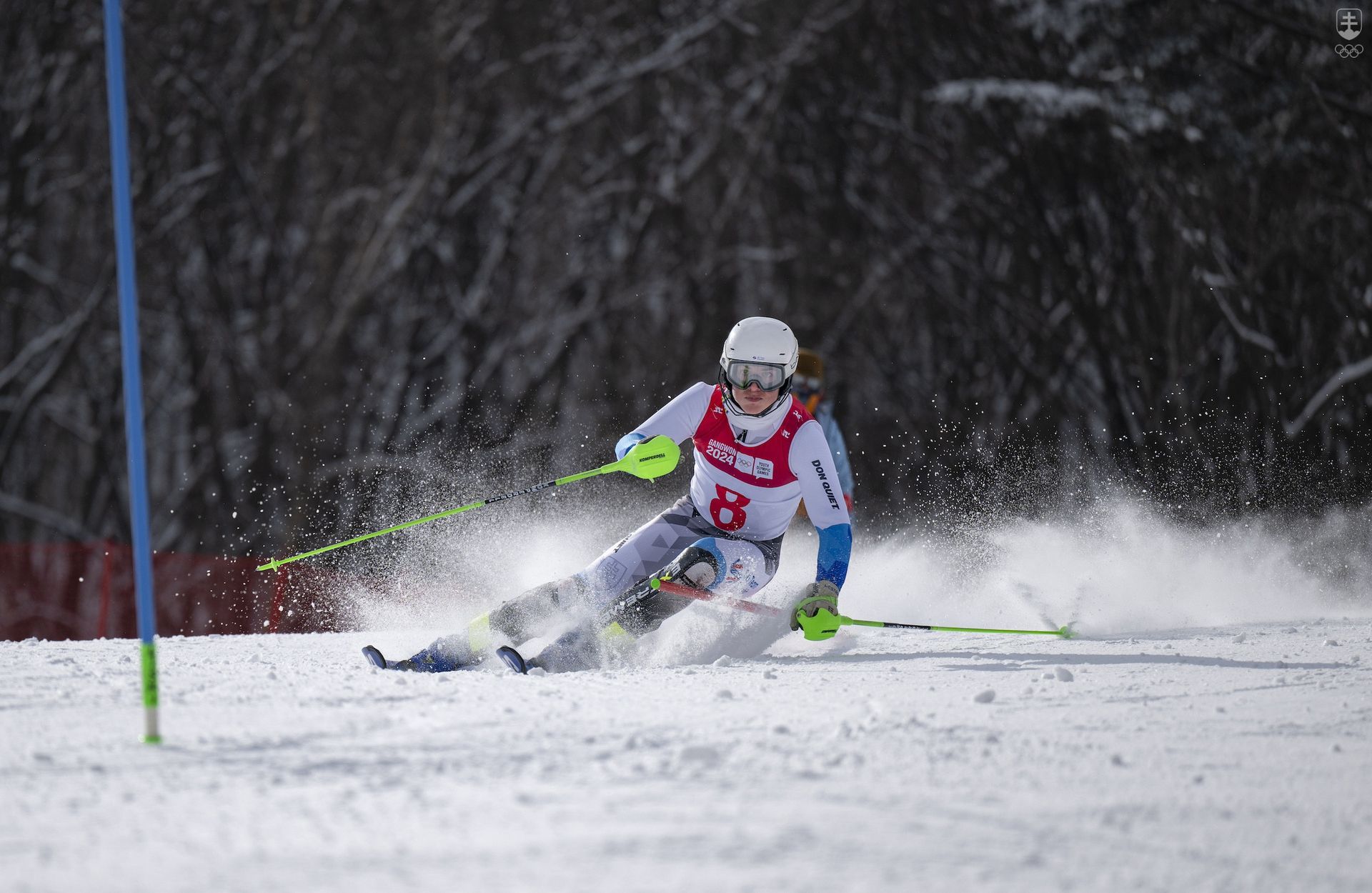 Andrej Barnáš na trati kombinačného slalomu na ZOH mládeže v Kangwone. Foto IOC/OIS/Jonathan Nackstrand