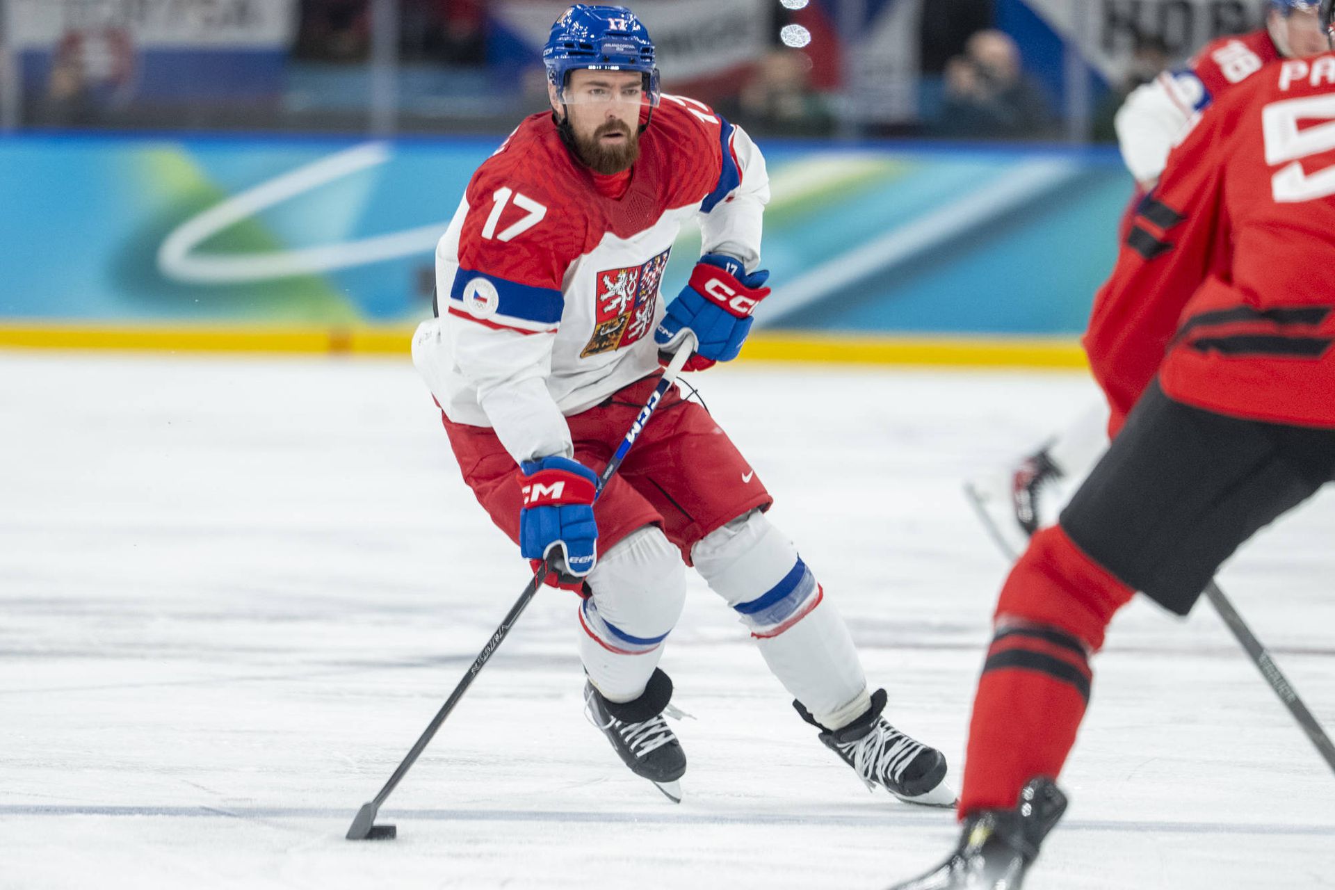 Filip Hronek. Zdroj: IMAGO