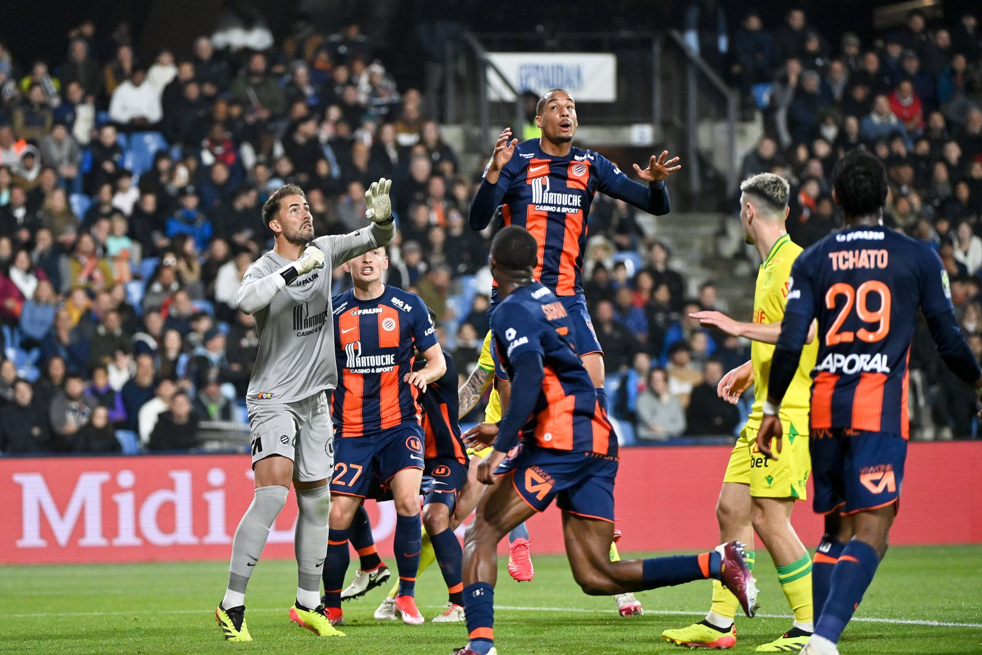 Montpellier HSC - FC Nantes, zdroj: IMAGO