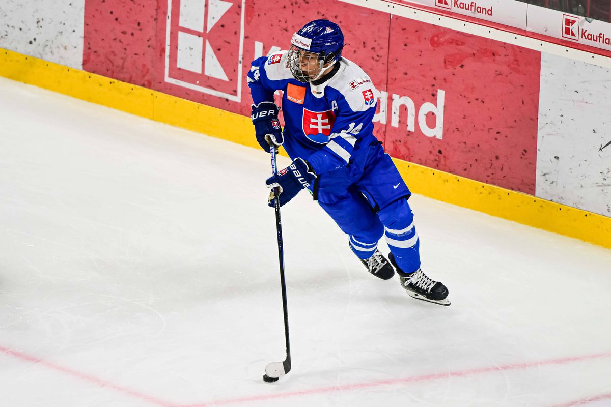 Slovenský bratranec hviezdy z NHL: Do pukov ide agresívne a nebojí sa riskovať