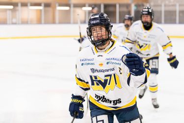 Smutný koniec kariéry fínskej hokejovej hviezdy. Po náraze do bránky ochrnula