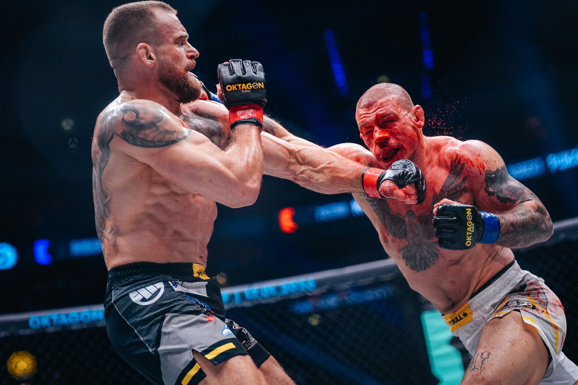 Patrik Kincl (vľavo) zasahuje Roberta Pukača. Zdroj: Oktagon