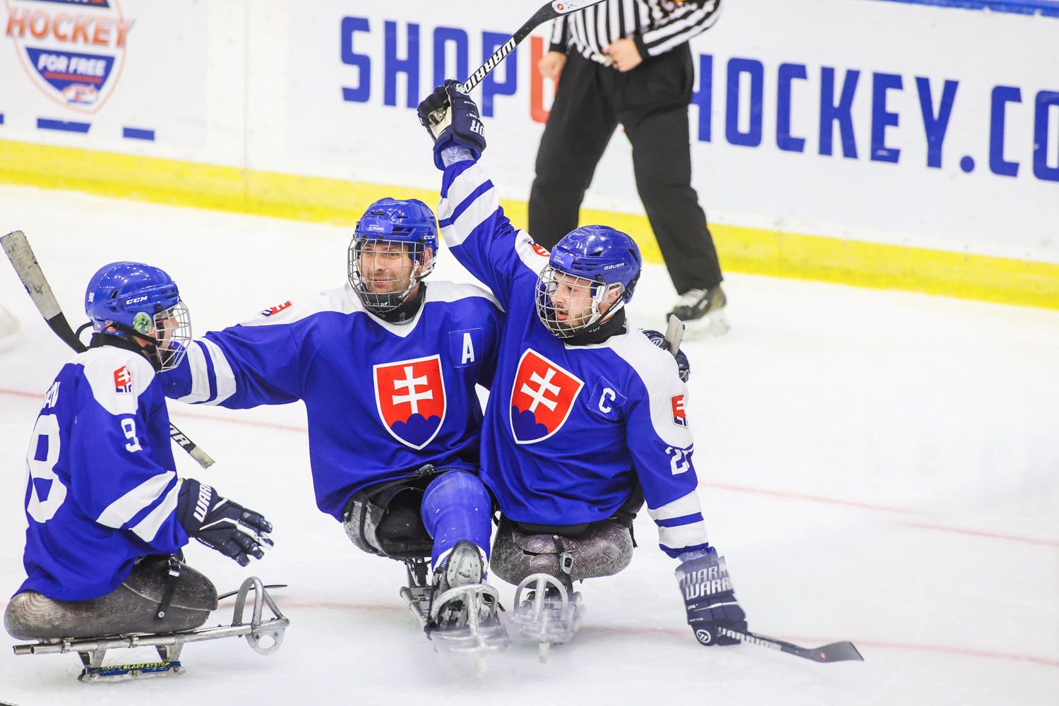 Slovenskí parahokejisti. Zdroj: Slovak Para Ice Hockey