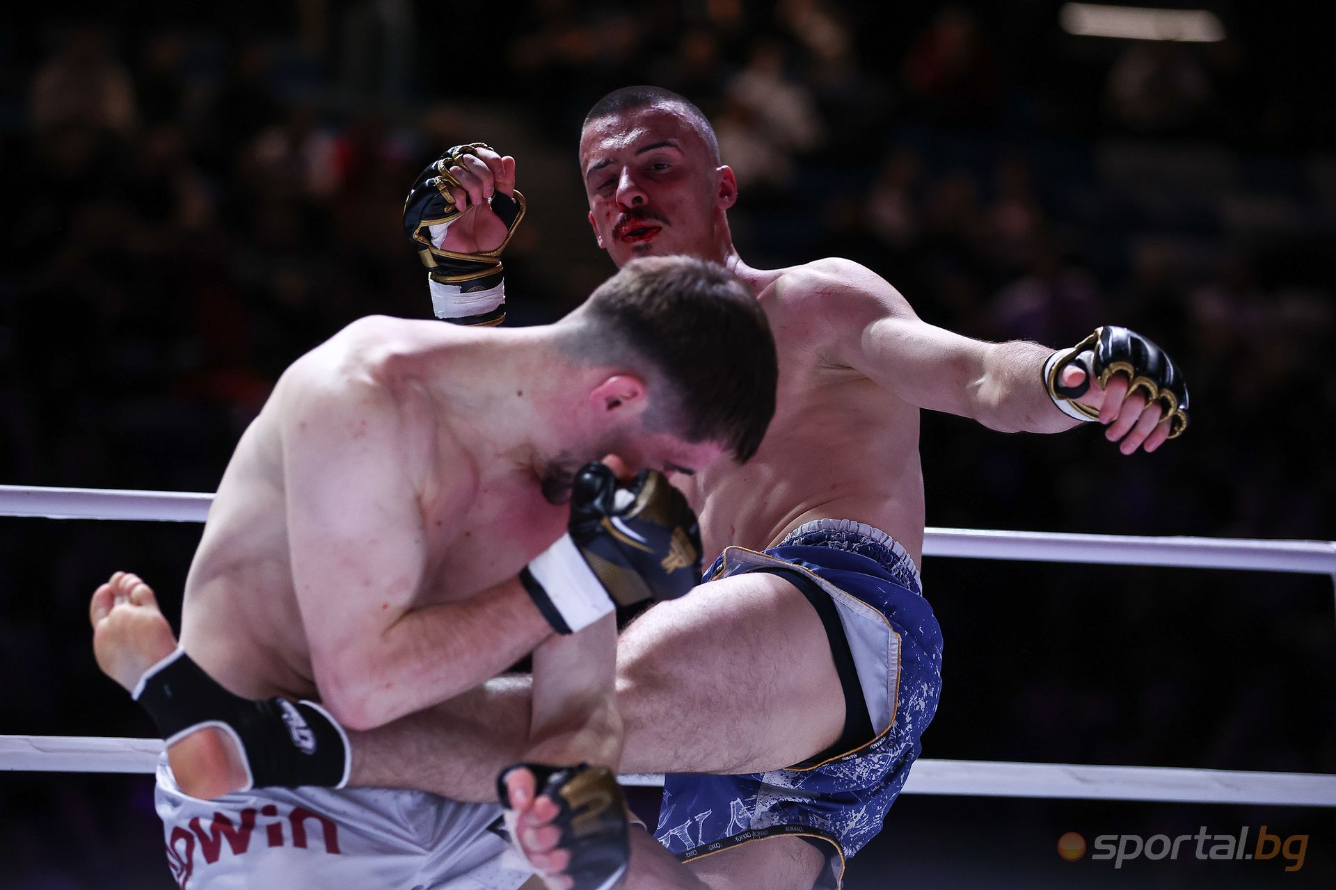 Христо Димов