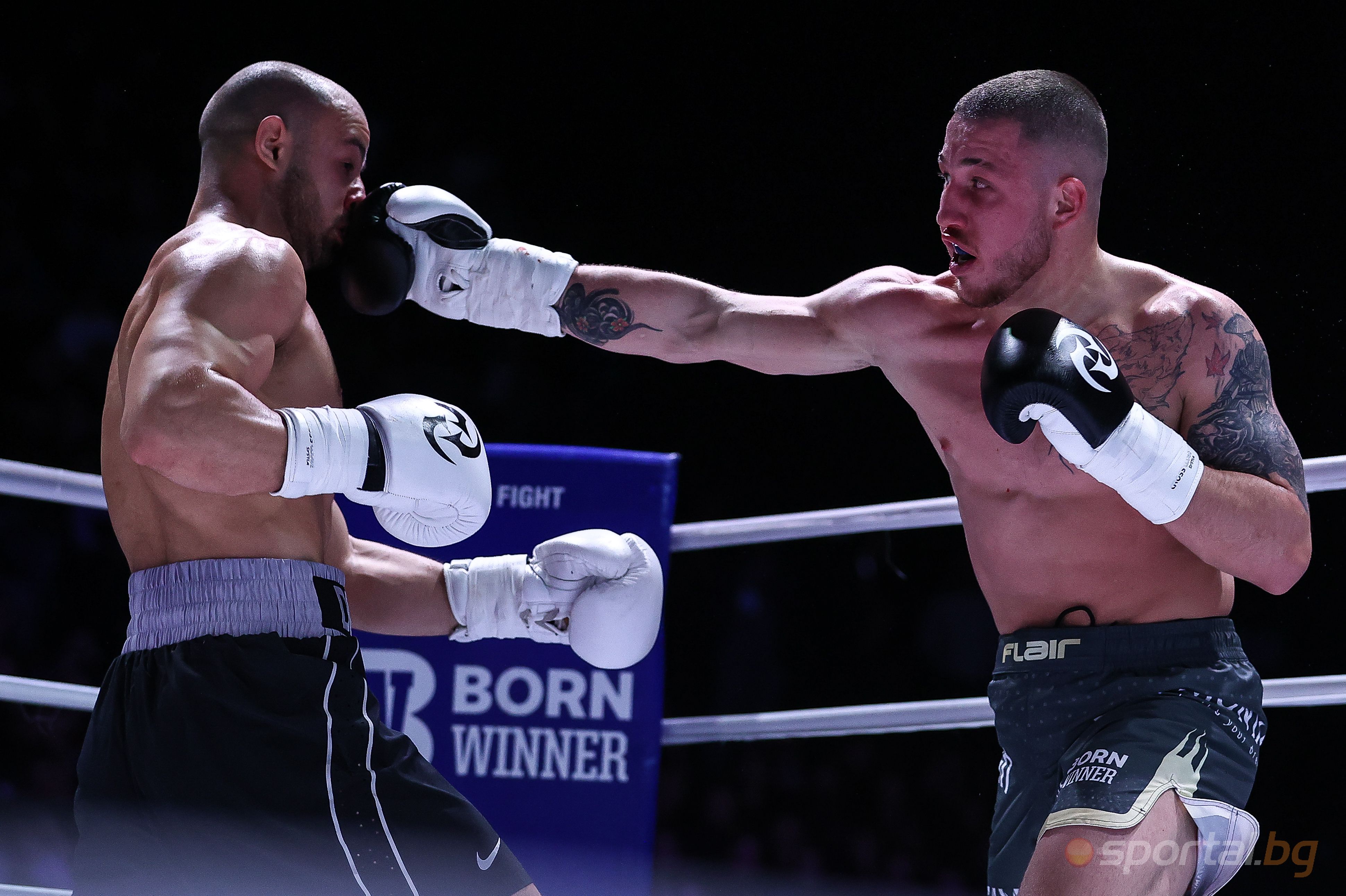 Николай Дишков, Алекс Георгиев