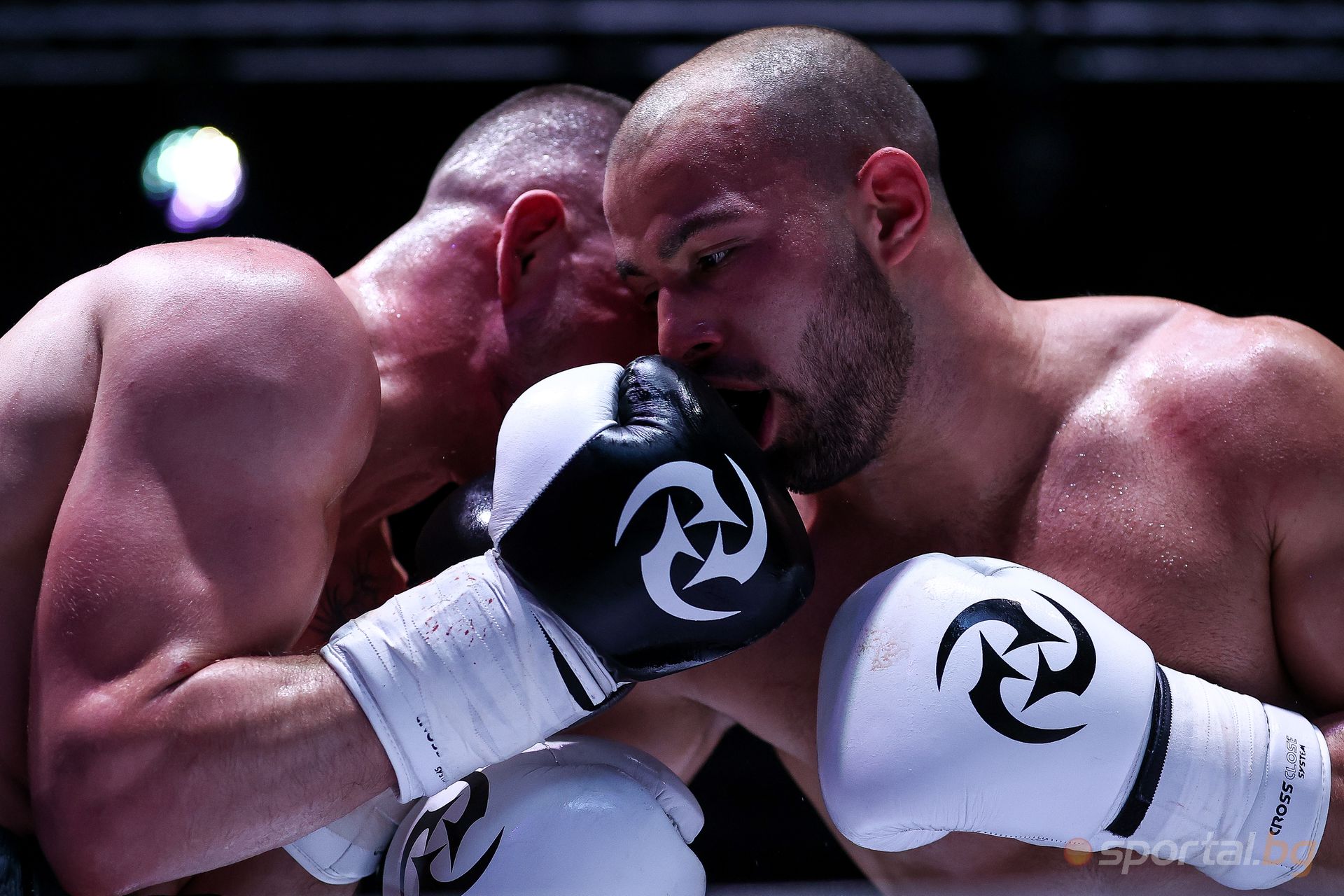 Николай Дишков