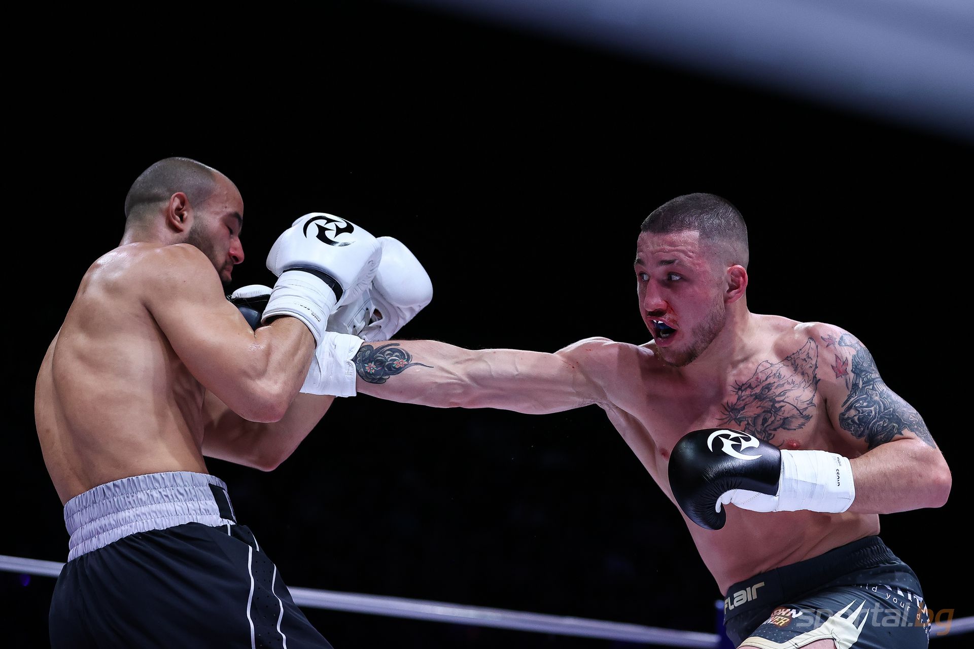 Николай Дишков, Алекс Георгиев