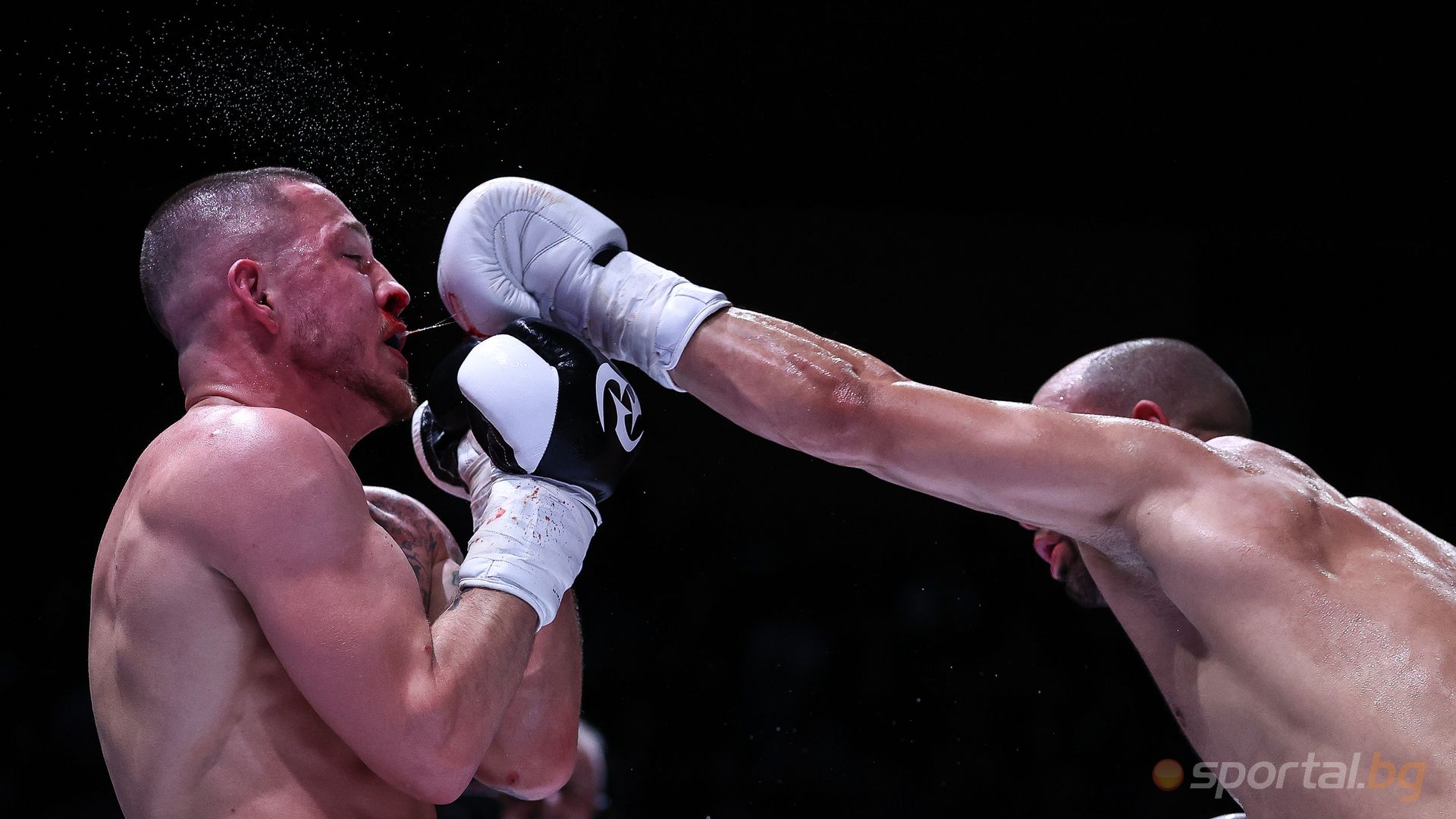 Николай Дишков, Алекс Георгиев