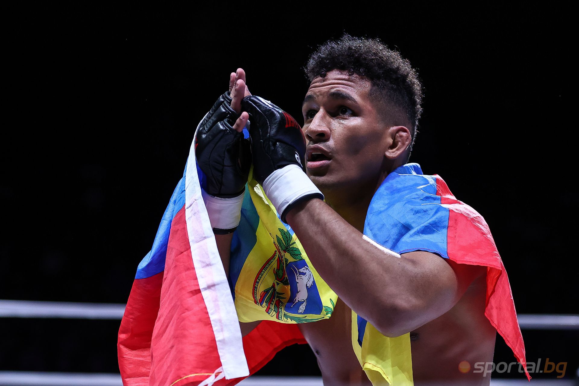 Карол Артеага