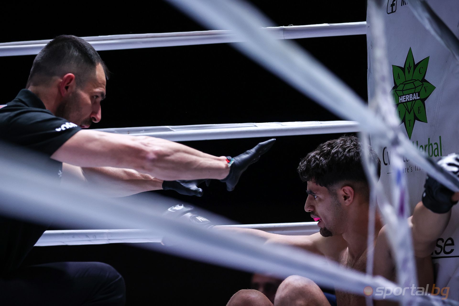 Наджим Ел Кулати