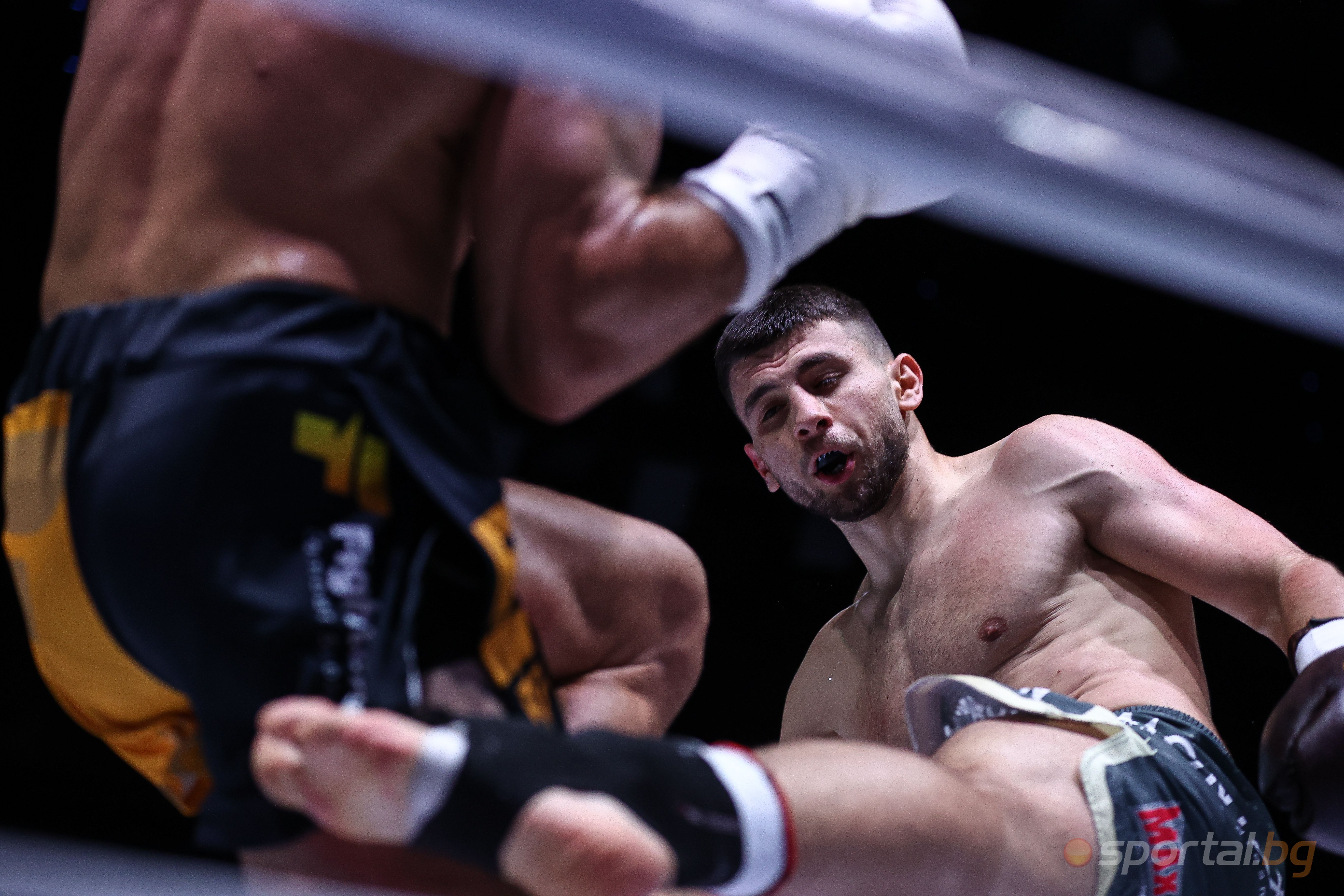 Мартин Копривленски