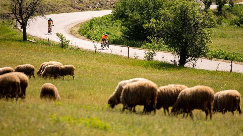 Над 32 хил. км. навъртяха участниците във Велообиколката на Северозапада