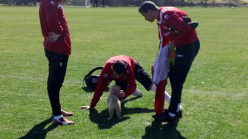 ЦСКА се радва на Гути (видео)