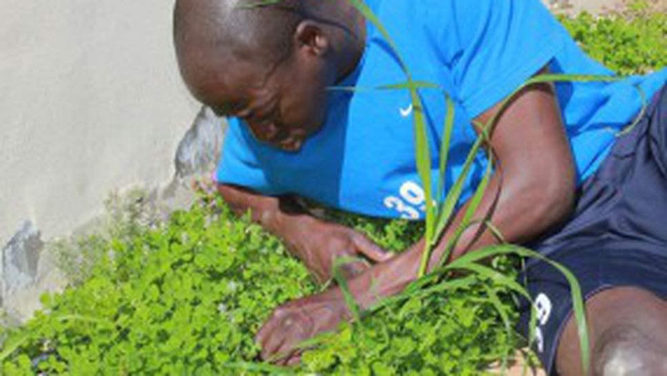 Нов спектакъл с марка Гара (видео + галерия)