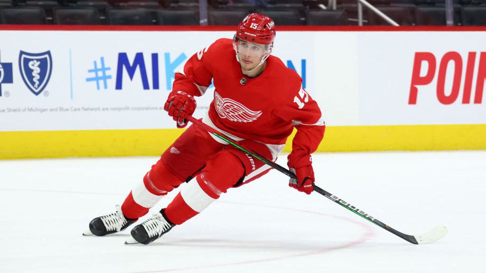 Нападателят на Детройт Ред Уингс Якуб Врана ще оперира рамото си