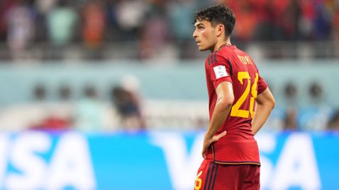  В Испания се зарадваха, че се разминават с Бразилия и Аржентина 