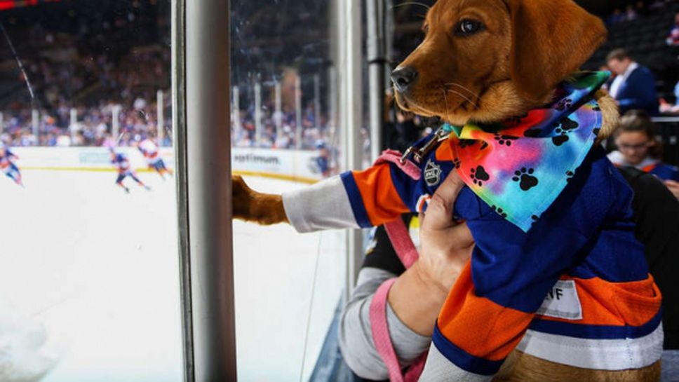 Айлендърс подчиниха Торонто и вече в 13-ти пореден мач печелят поне точка