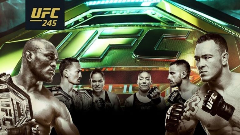Насладете се на красивото промо на UFC 245 (видео)