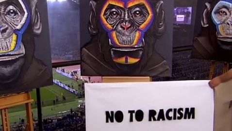 В Италия ще борят расизма с картини на маймуни