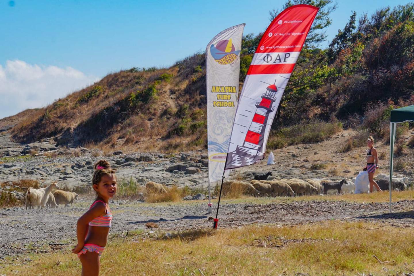 Спортът и неговите ценности