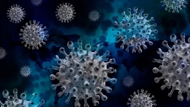 Само 83 нови случая на коронавирус у нас