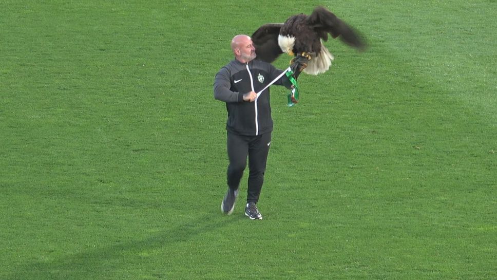 Орелът на Лудогорец с прецизен полет преди дербито със сините