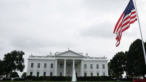  UFC ще похарчи 700 000 $ за замяна на тревната настилка на Белия дом 