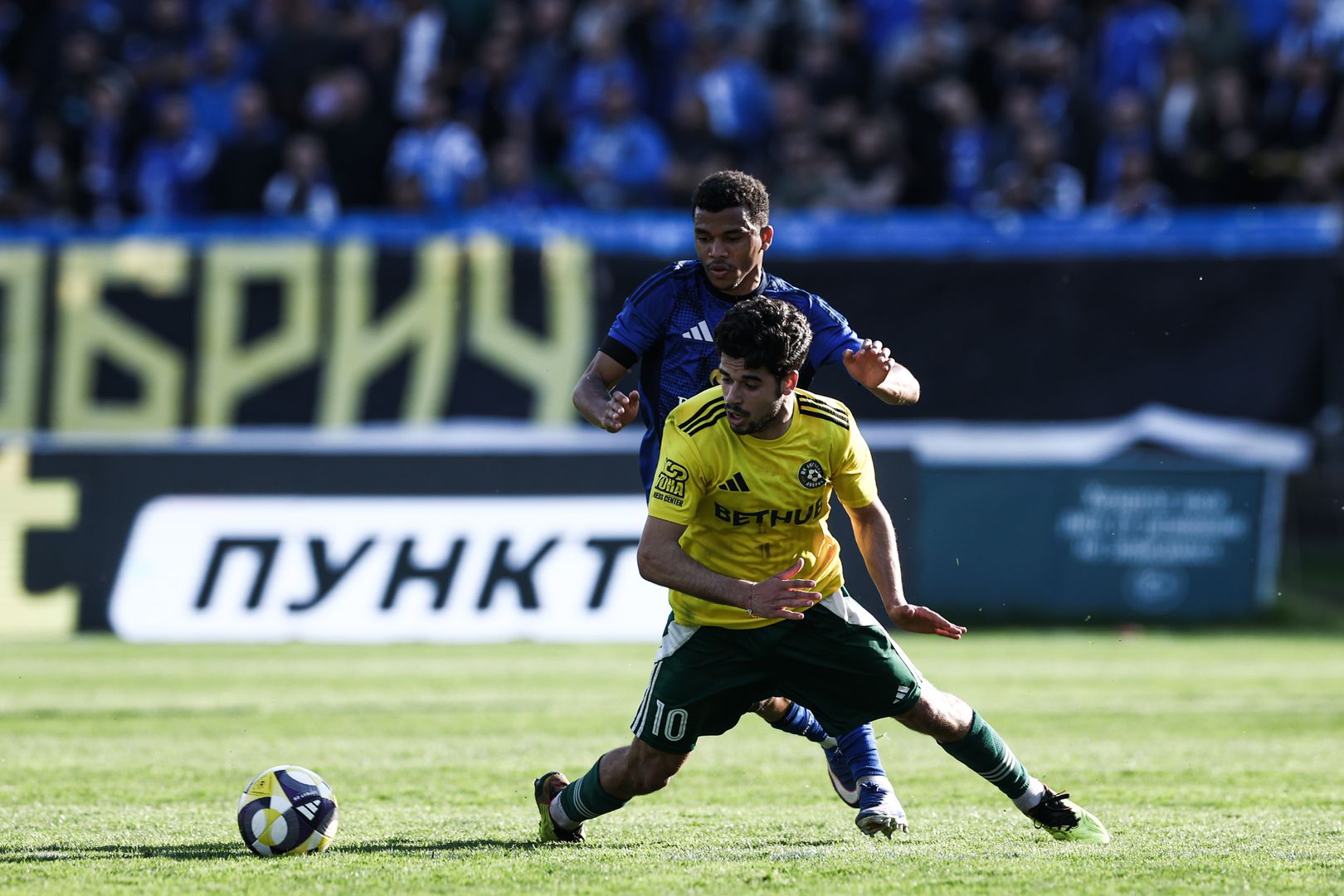 Добруджа : Левски