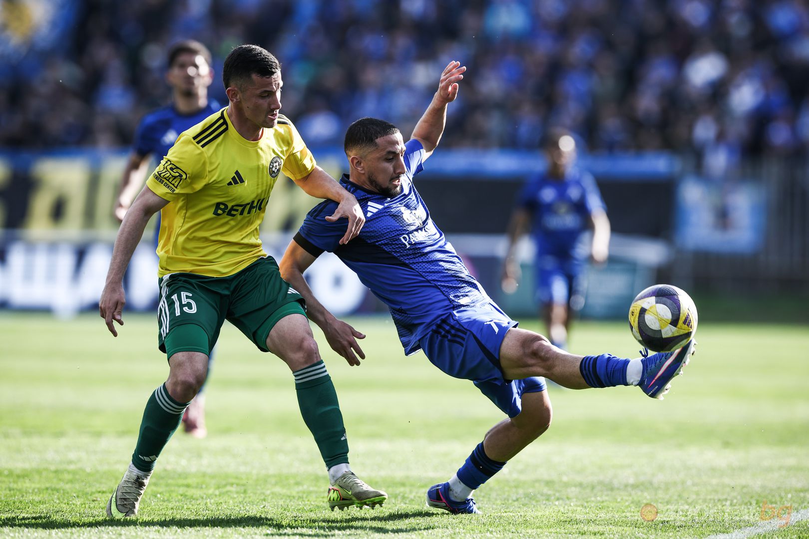 Добруджа : Левски