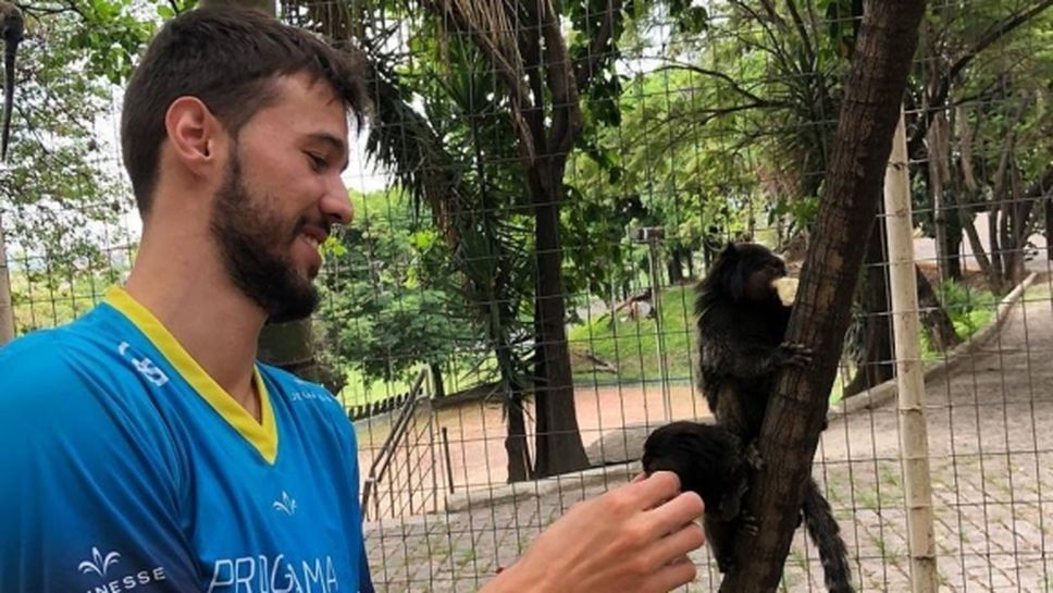 Волейболен национал се забавлява с маймуни