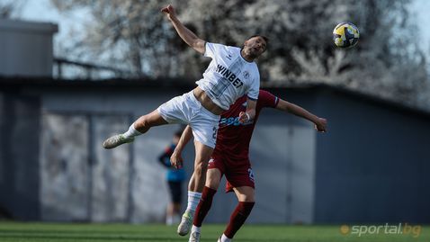 Ялово дебнене в подножието на Витоша