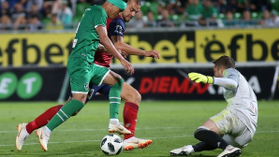 Лудогорец - МОЛ Види