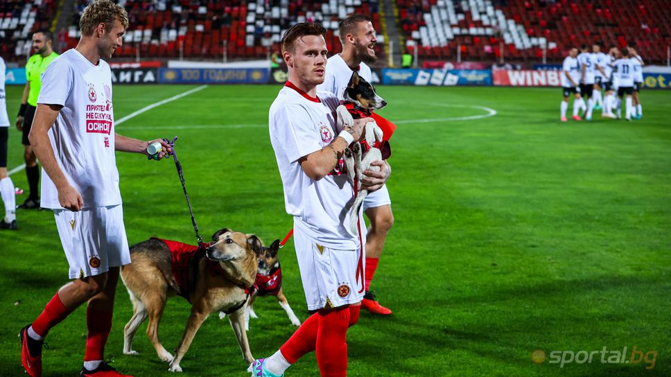 ЦСКА - София с благотворителен жест в подкрепа на бездомните животни