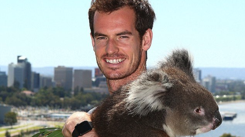 Анди Мъри получи "уайлд кард" за турнира в Сидни