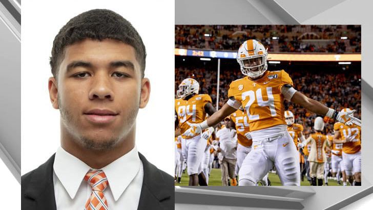 Изхвърлиха играч заради тормоз над малко коте