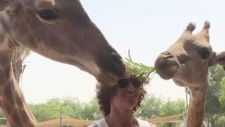 Косата на Давид Луис стана храна за жирафи