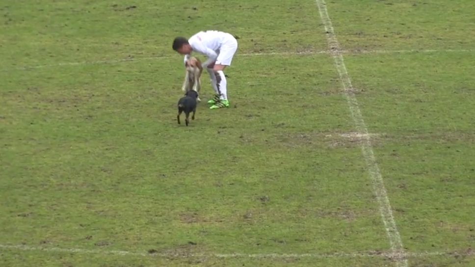 Играч на Славия изнася кучета от терена по време на контрола