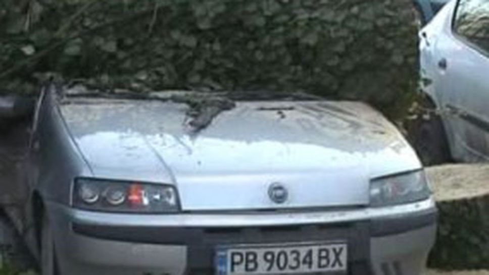 Топола потроши девет коли на "Армията" - вижте страховитите снимки от инцидента
