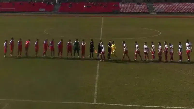 Партизан бие в Берковица