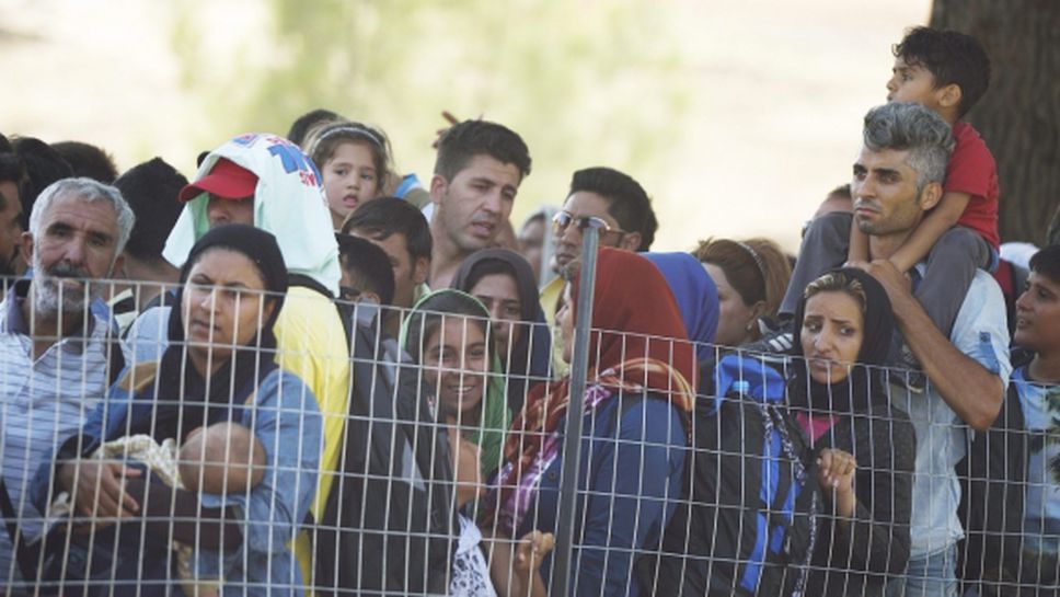 Отбор от бежанци ще участва и на Олимпиадата Токио 2020