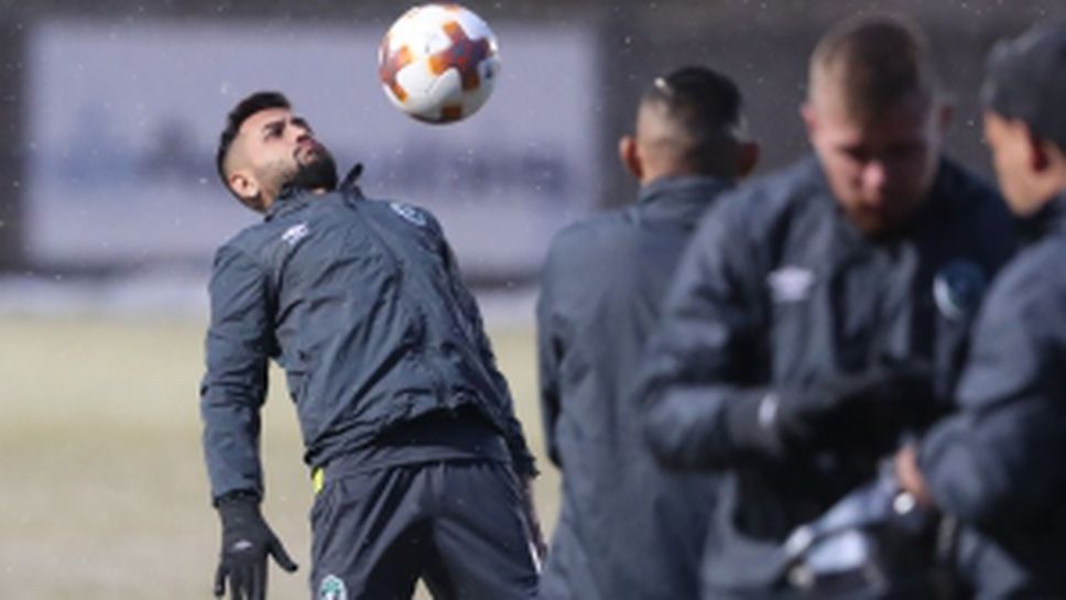 Лудогорец с последна тренировка преди мача с Милан