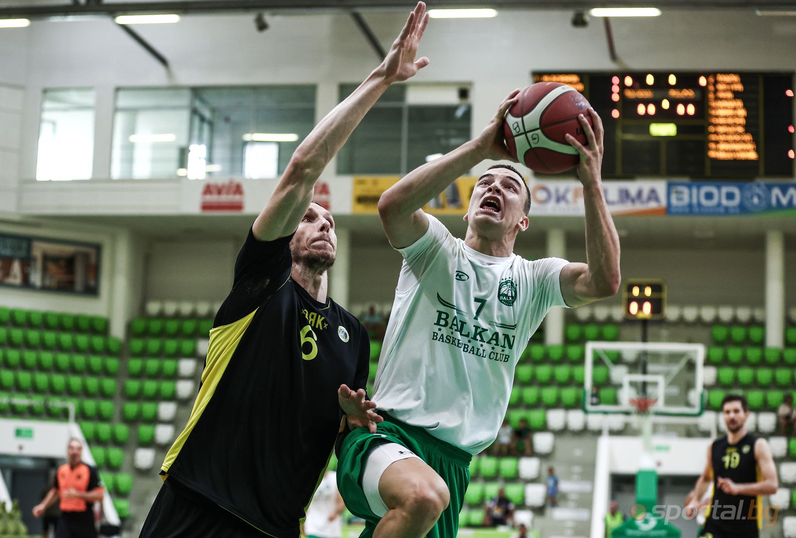 Балкан 86:77 Фалко