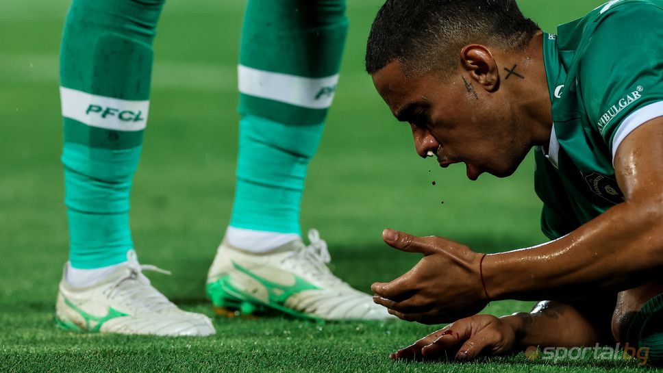 Най-добрите снимки за 2025 на Sportal.bg