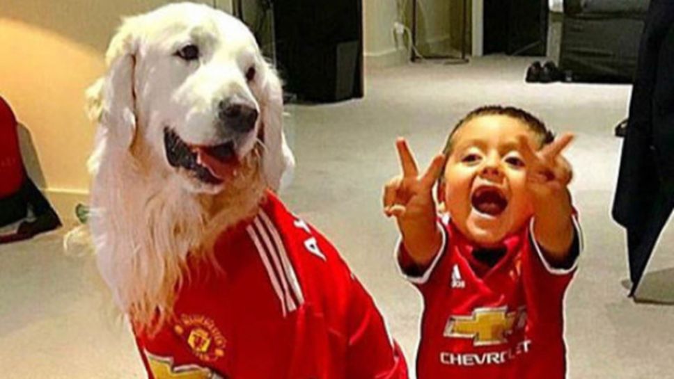 Кучетата на Алексис Санчес също облякоха фланелката на Юнайтед (снимки)