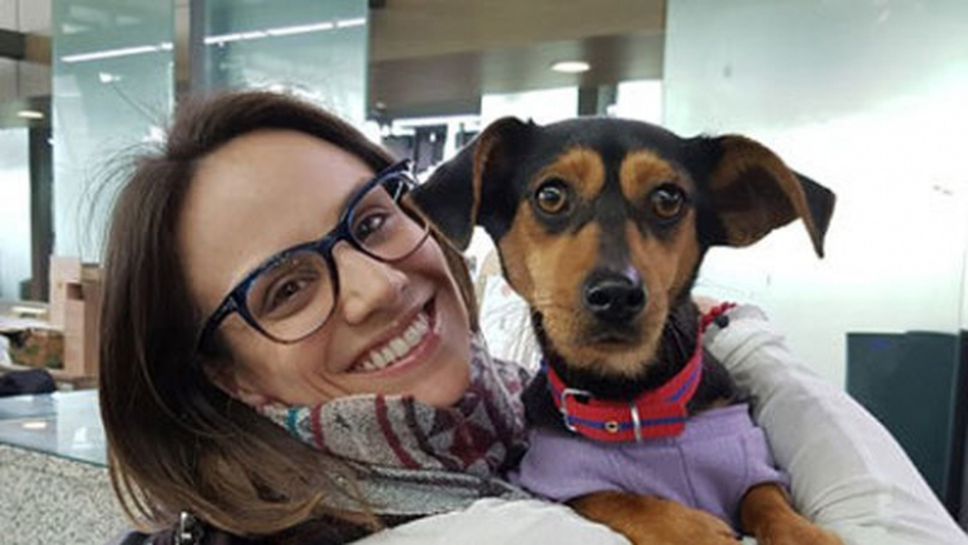Фигуристка спаси корейско куче, отглеждано за храна