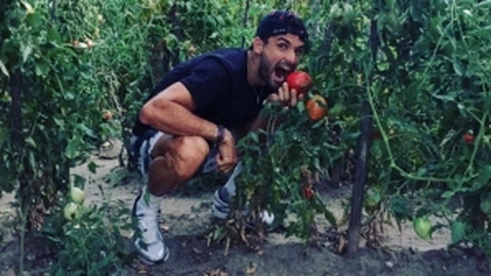 Григор бере плодове и зеленчуци навръх Съединението